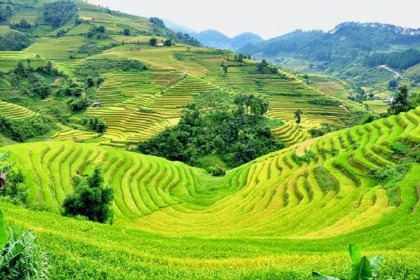 Combo Du Lịch Đà Nẵng