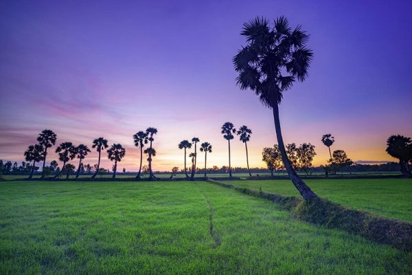 Khám Phá Miền Tây – Vùng Đất Trù Phú Và Bình Yên