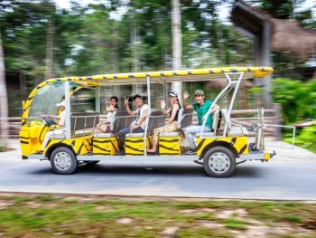 Vé lẻ xe điện Buggy