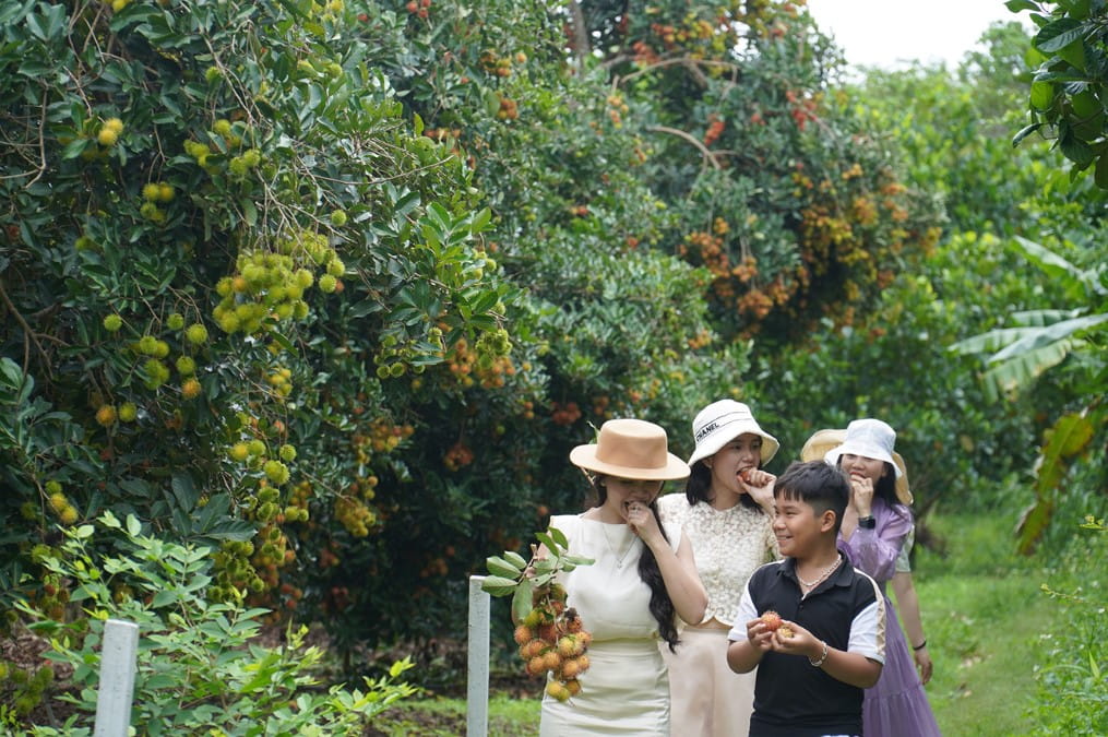 Top 10 Địa Điểm Du Lịch Hè Miền Tây Hấp Dẫn Không Thể Bỏ Lỡ