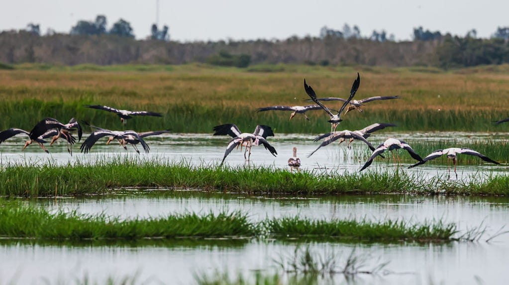 Top 10 Địa Điểm Du Lịch Hè Miền Tây Hấp Dẫn Không Thể Bỏ Lỡ