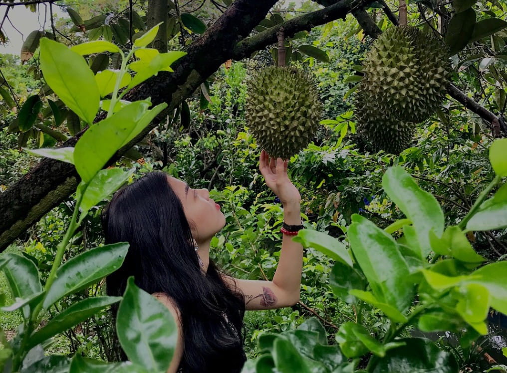 Top 10 Địa Điểm Du Lịch Hè Miền Tây Hấp Dẫn Không Thể Bỏ Lỡ