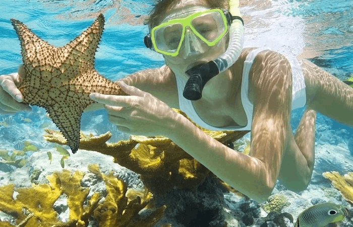 Du Lịch Nha Trang Từ A-Z Với Trọn Bộ Cẩm Nang Chi Tiết Nhất