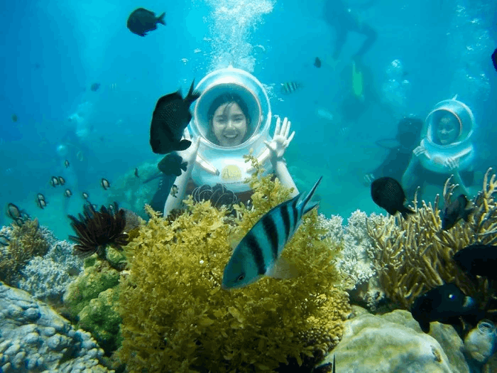 Du Lịch Nha Trang Từ A-Z Với Trọn Bộ Cẩm Nang Chi Tiết Nhất