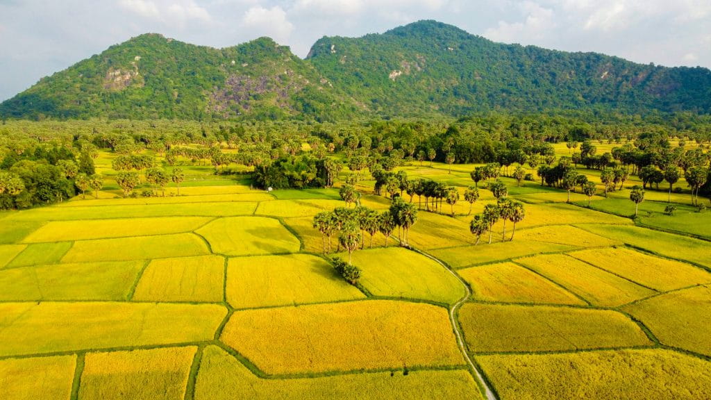 Cẩm Nang Du Lịch Bụi Cho Người Mới: Tự Do Trải Nghiệm Theo Cách Riêng Của Bạn