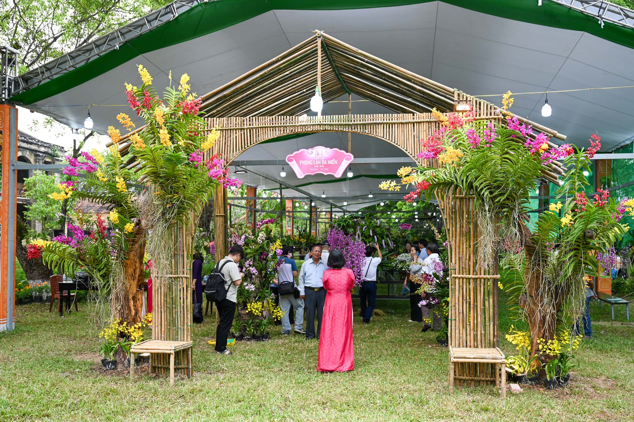 Đến Huế Cuối Tháng 4/2026 Để Có Cơ Hội Ngắm “Kỳ Hoa Dị Thảo” Rực Rỡ Giữa Lòng Di Sản