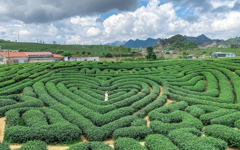 Mộc Châu - Cao Nguyên Xanh Mát Cho Những Ngày Hè Thư Thái