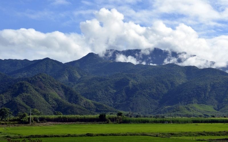 Vườn Quốc Gia Kon Ka Kinh - Điểm Trekking Giữa Rừng Nguyên Sinh Tây Nguyên