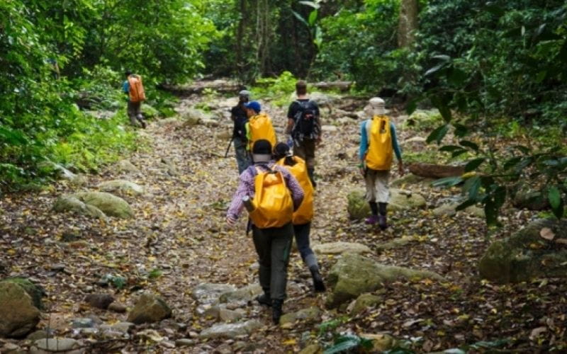 Vườn Quốc Gia Kon Ka Kinh - Điểm Trekking Giữa Rừng Nguyên Sinh Tây Nguyên