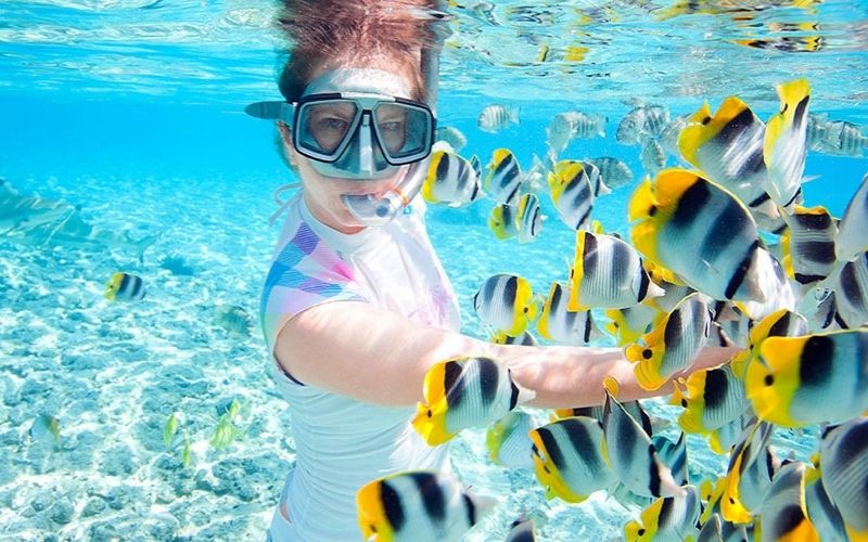 Lần Đầu Đi Lặn Biển: Cần Chuẩn Bị Gì Và Nên Chọn Điểm Nào?