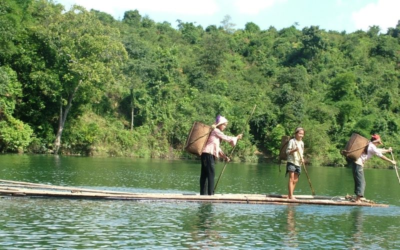 Vườn Quốc Gia Pù Mát - Khám Phá Đại Ngàn Xanh Của Miền Tây Nghệ An