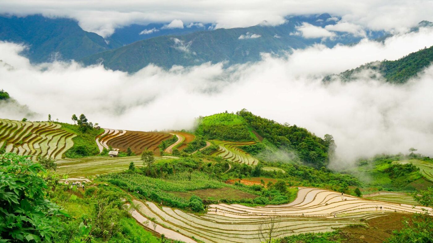 Cao Nguyên Sìn Hồ Có Gì? Khám Phá Vùng Đất Còn Nhiều Điều Chưa Được Biết Đến Ở Lai Châu