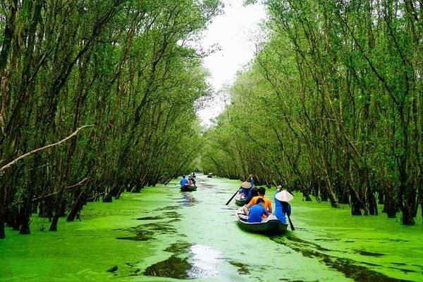 Về Miền Tây Tháng 10: Len Lỏi Mùa Nước Nổi Trà Sư & Tràm Chim