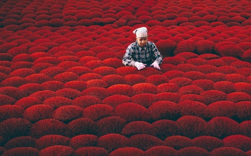 Khám phá làng nghề truyền thống miền Trung - Những điểm đến mang đậm dấu ấn văn hóa