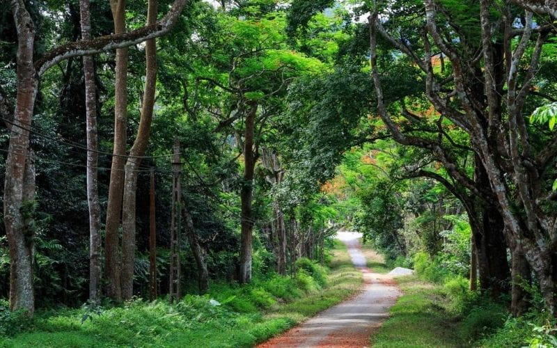 Tháng 11, Miền Bắc Có Gì Đẹp Để Khám Phá?