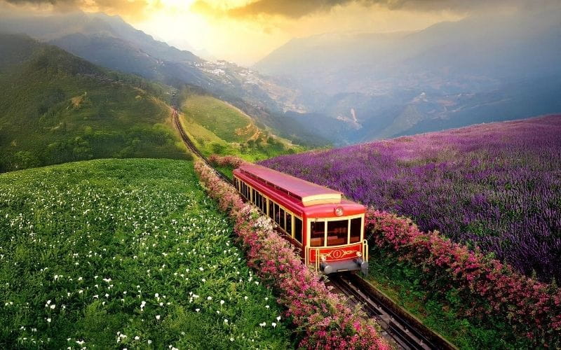 Tháng 11, Miền Bắc Có Gì Đẹp Để Khám Phá?